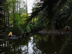 -苏州河梦清园环保主题公园