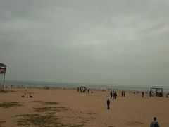 -日照海滨国家森林公园