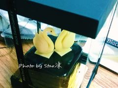 -BLACKSWAN黑天鹅(环球店)