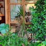 探索独特小店咯~