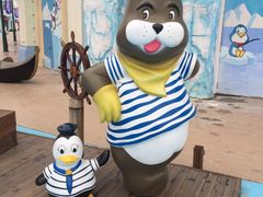 -芜湖新华联大白鲸海洋公园