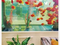 -骏莱海鲜鱼港(五角场店)
