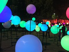 -锦江乐园舞狸花花游园会(夜场专享)