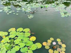 -南普陀寺