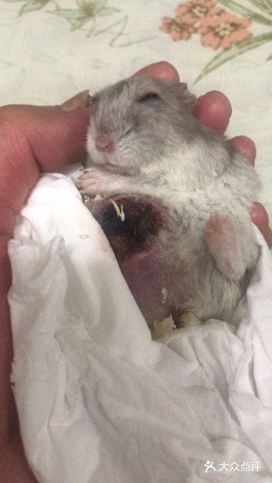 邦泰·异宠动物医院图片