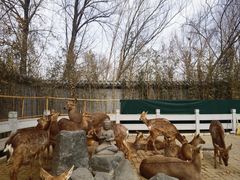 -北京野生动物园