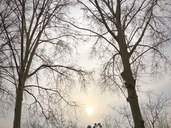 -河南省黄河迎宾馆