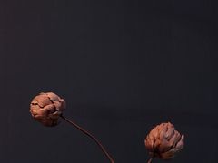 -柒厢食事雅谈