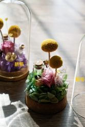 点击看大图 -季橙月子护理中心(金华店)