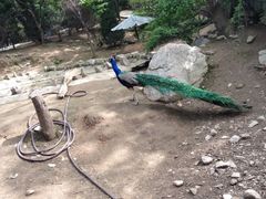 iphone_upload_pic-西安秦岭野生动物园