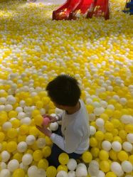 -宝燕乐园(闵行旗舰店)