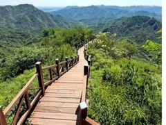 -大岭沟猕猴桃谷风景区