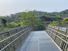 -福道