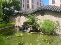 -复旦大学附属中山医院(西院区)