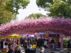 -南汇桃花村