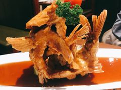 糖醋鲤鱼-城南往事·味道济南菜(大观园店)
