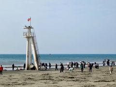 -江山半岛白浪滩景区