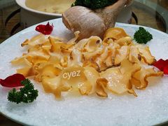 潮汕响螺-金龙·打边炉(武进路店)