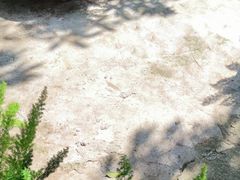 -行人小筑·茶馆(岑村火炉山分店)