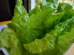 生菜-唯成•韩国炭火烤肉 유성고기