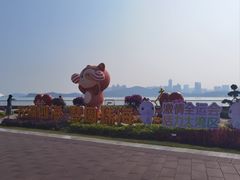 -野狸岛