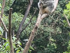 -可伦宾野生动物保护区