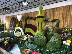 -杭州植物园