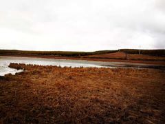 -塞罕坝国家级自然保护区