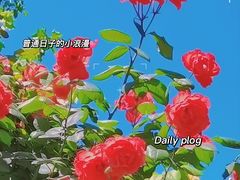 -睦南公园