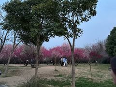 -蜀冈西峰生态公园