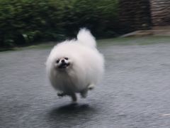 -中铁花水湾温泉酒店(大邑店)