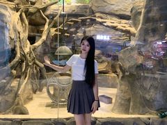 -台州海洋世界