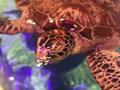 -波塞冬旅游度假区