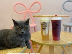 -猫咪派对(江南西店)