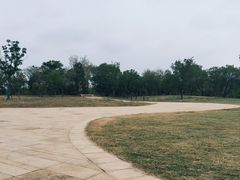 -盘龙城国家考古遗址公园