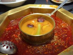 -蜀九香火锅(彩虹店)