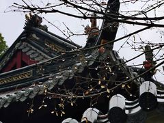 -普陀山祥生大酒店