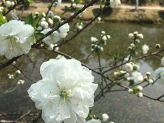 -上海大学宝山-图书馆