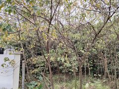 -广东金融学院(校本部)
