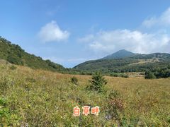 -白草畔自然风景区