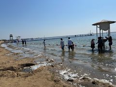 -碧海金沙
