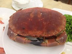 iphone_upload_pic-海岛渔村大酒店(云霄路店)