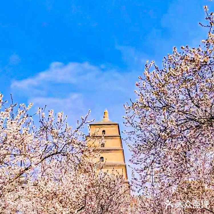 醉长安~来西安吃陕菜古都风情~