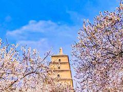 -醉长安(钟楼旗舰店)