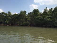 -东寨港红树林旅游区