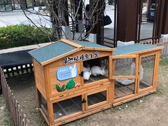 -嘉兴清池酒店温泉
