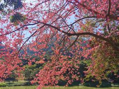 -风云岭森林公园