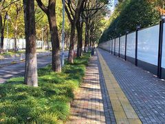 -后襄河公园