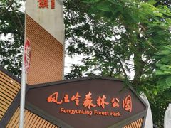 -风云岭森林公园