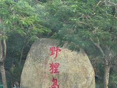 -野狸岛